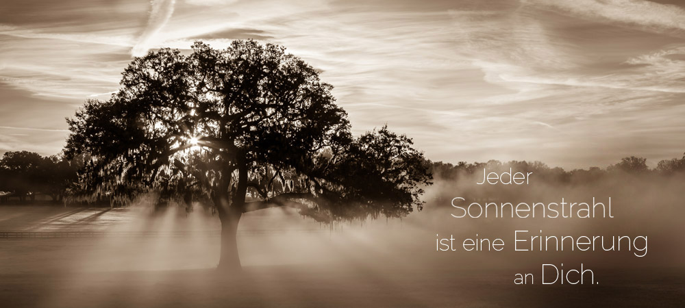 Bestattungsunternehmen Markranstädt